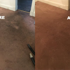 Professional Carpet Cleaning Residential