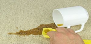 Professional Carpet Cleaning Residential